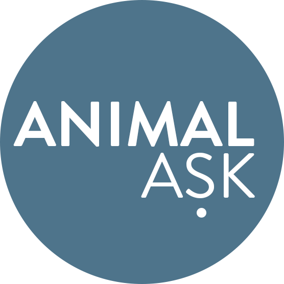 AnimalAsk